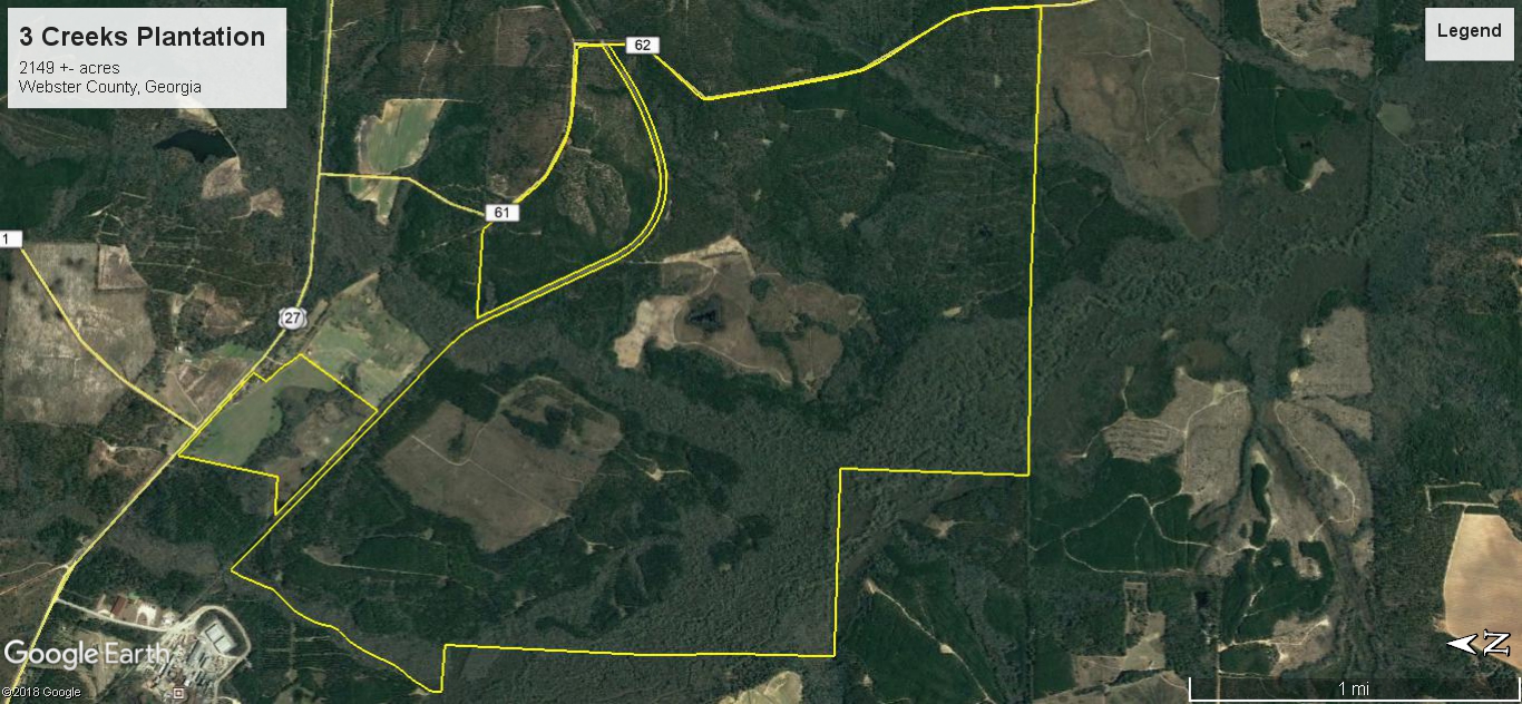 Preston, ster County, GA Recreational Property, Timberland Property